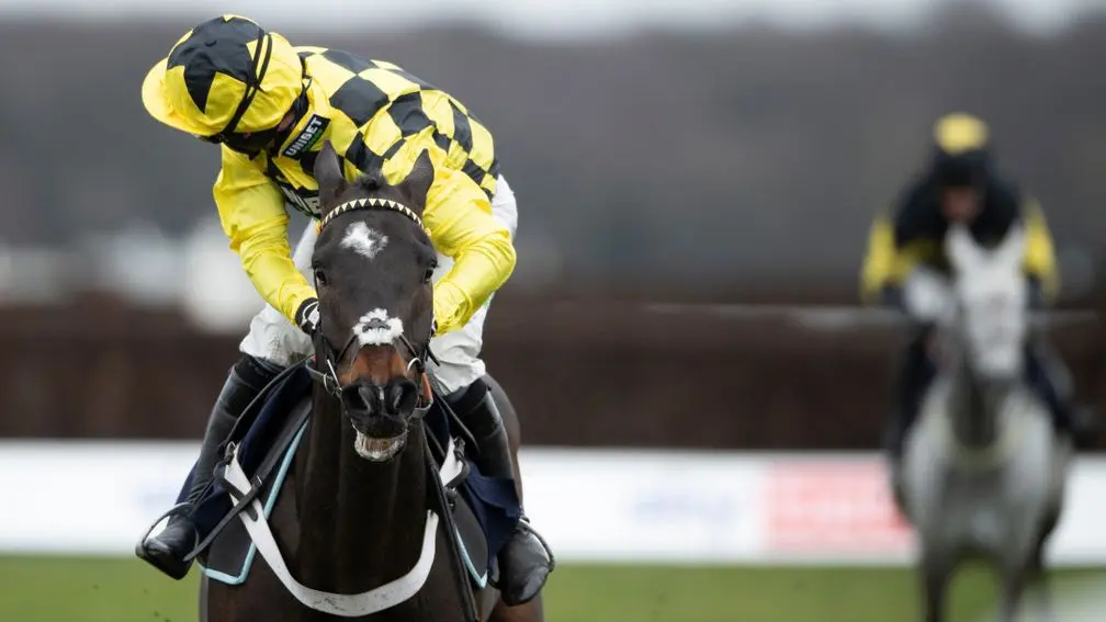 Premium 13/02/2023 Daily Update