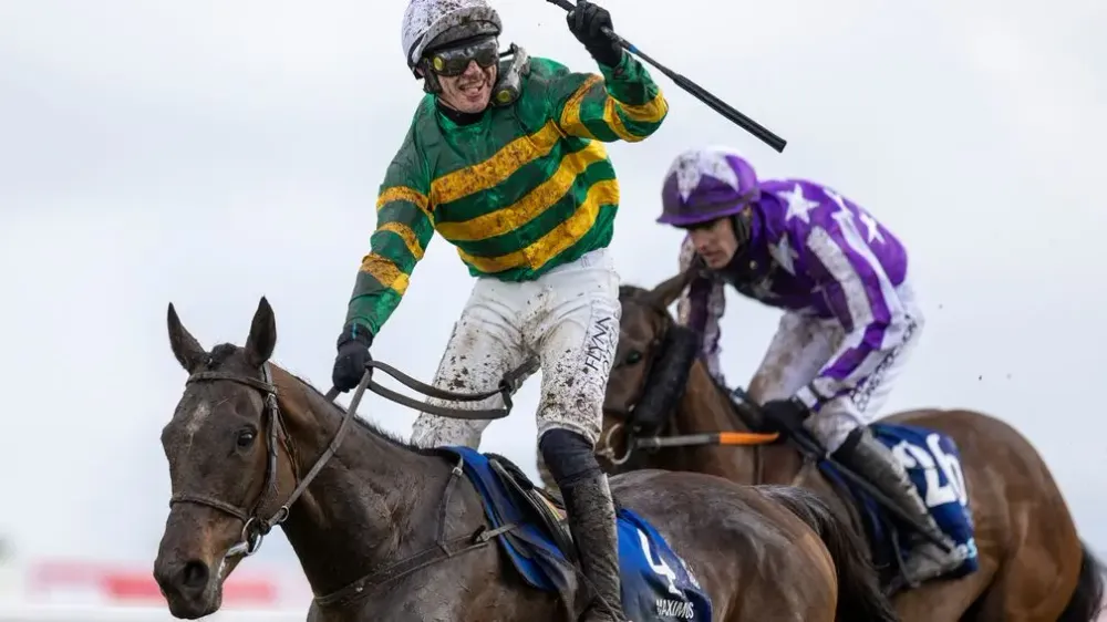 Premium 11/04/2023 Daily Update