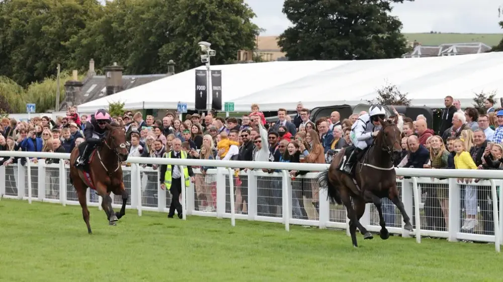 Premium 02/08/2023 Daily Update