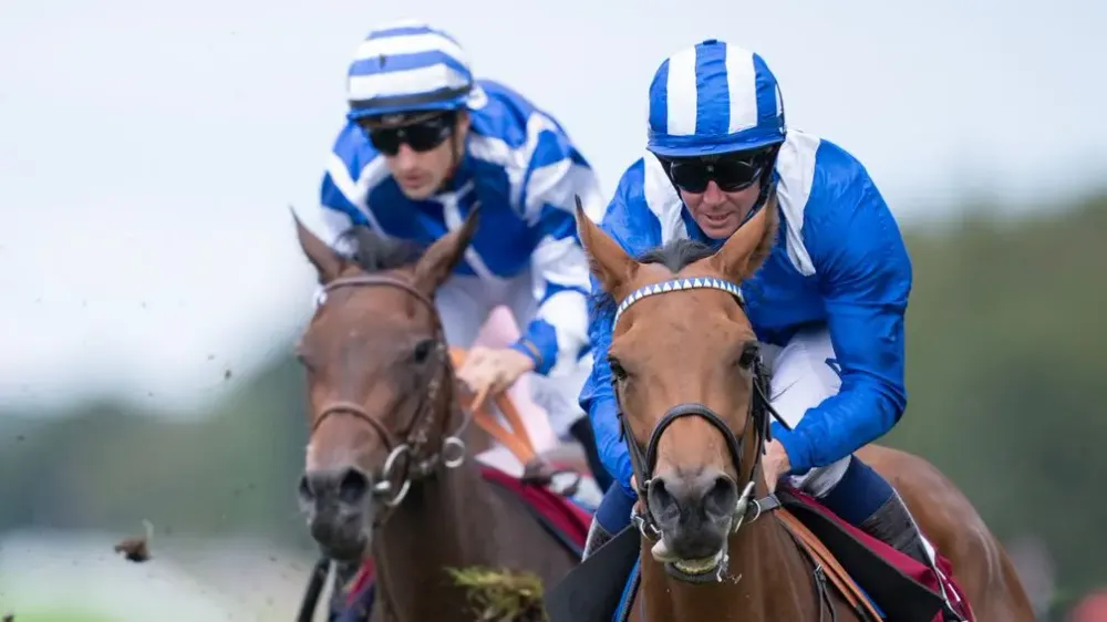 Premium 18/08/2023 Daily Update (Oops! Read ME)