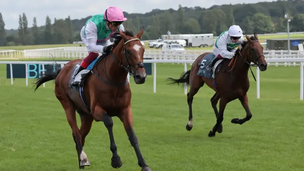 Premium 14/09/2023 Daily Update