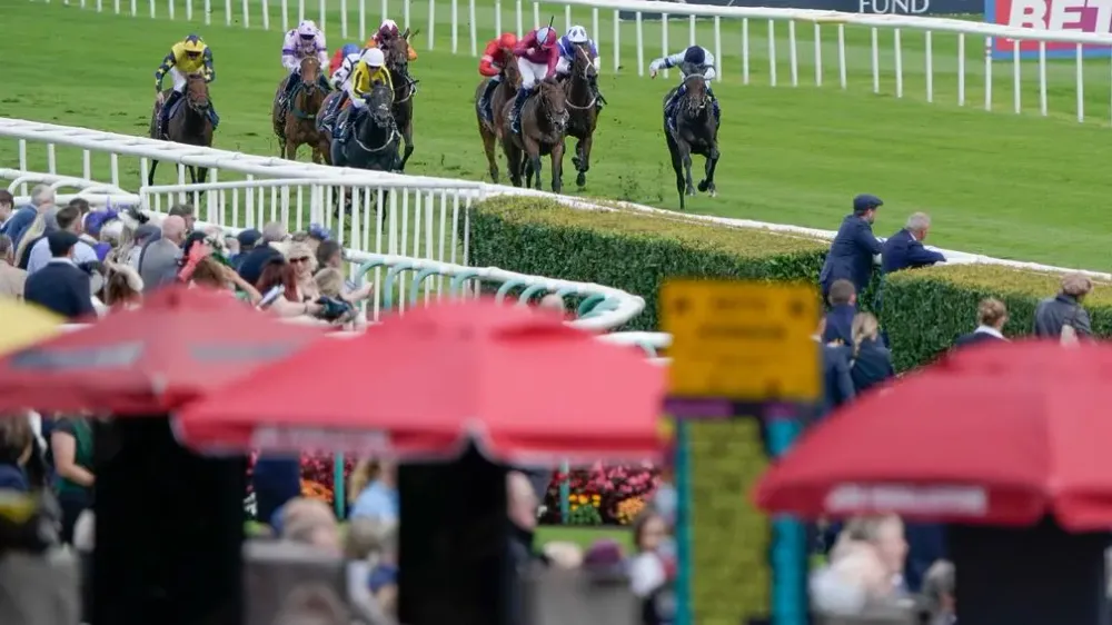 Premium 16/09/2023 Daily Update