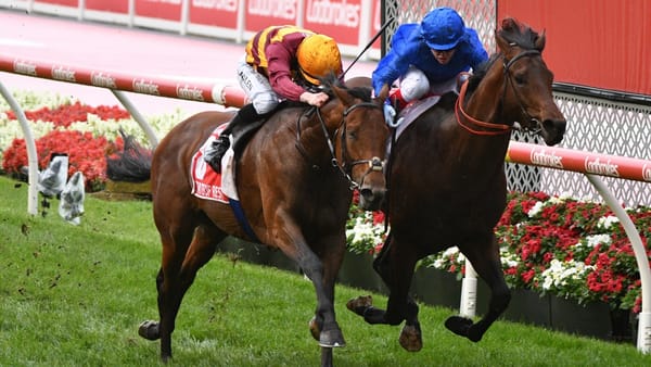 Premium 22/10/2022 Daily Update