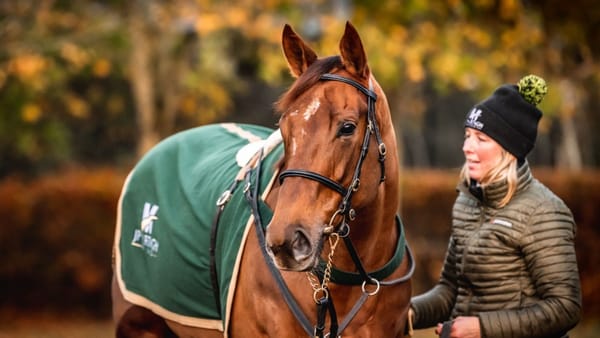 Premium 19/11/2022 Daily Update