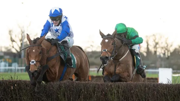 Premium 04/04/2023 Daily Update