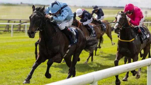 Premium 02/05/2023 Daily Update