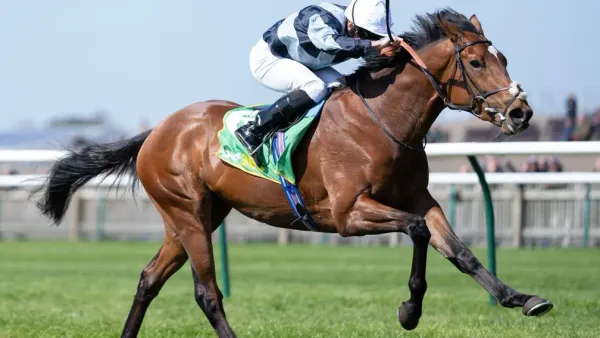 Premium 29/05/2023 Daily Update