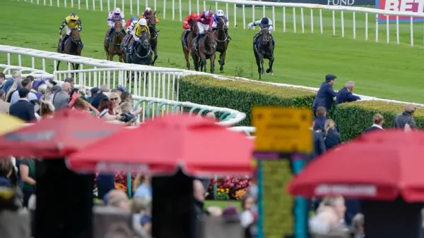 Premium 16/09/2023 Daily Update