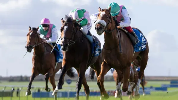 Premium 12/10/2023 Daily Update