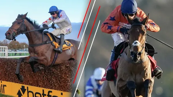 Premium 21/11/2023 Daily Update