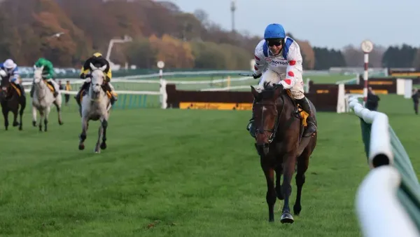 Premium 22/11/2023 Daily Update