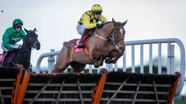 Premium 30/12/2023 Daily Update