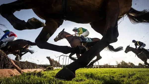 Premium 20/1/2024 Daily Update