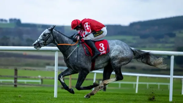 Premium 25/1/2024 Daily Update