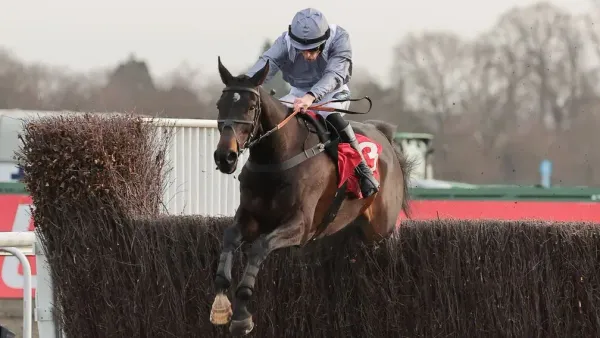 Premium 17/02/2024 Daily Update