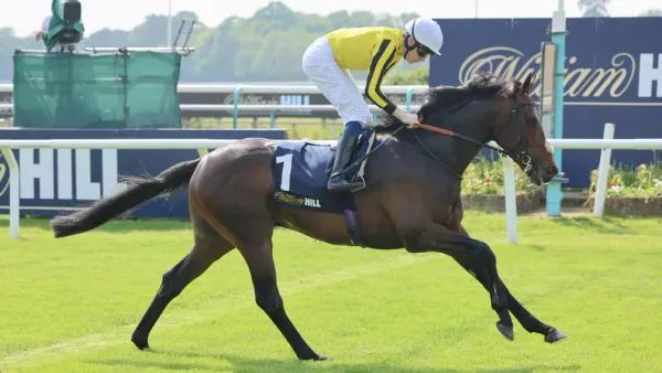 Premium 04/02/2025 Monday Horse Racing Tips