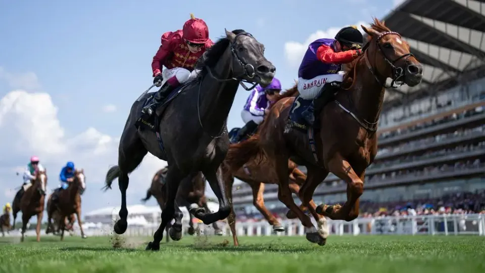 Premium 25/03/2025 Tuesday Horse Racing Tips
